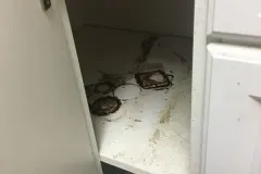 all-about-cleaning-gallery_16