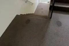 all-about-cleaning-gallery_28