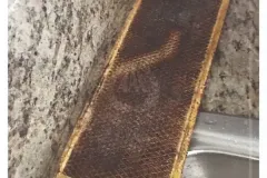 all-about-cleaning-gallery_49