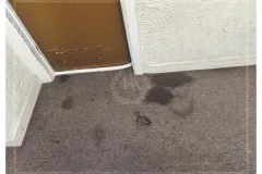 all-about-cleaning-gallery_5