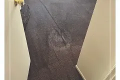 all-about-cleaning-gallery_59