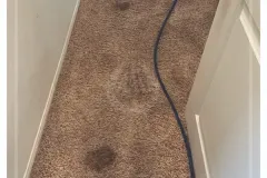 all-about-cleaning-gallery_8
