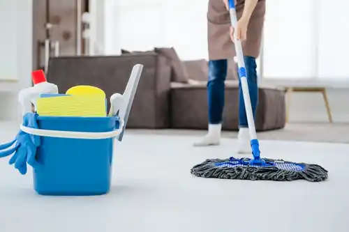 maid services all about cleaning 