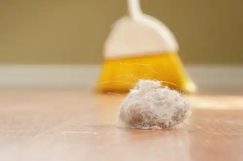 pet maid service all about cleaning 